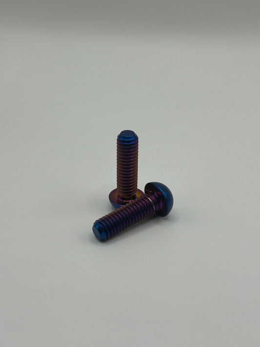 Bar Pad Bolts(2)