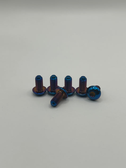 Motor Cover Bolts(6)